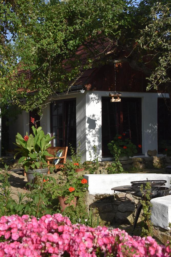 Ubytovani Pod Jilmem Zar Exterior photo